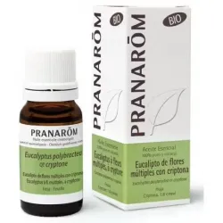Pranarôm aceite esencial eucalipto flores criptona bio*10ml