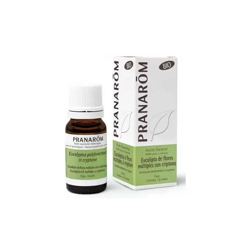 Pranarôm aceite esencial eucalipto flores criptona bio*10ml | Farmacia Barata