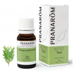 Thuya occidentalis aceite esencial 10ml.