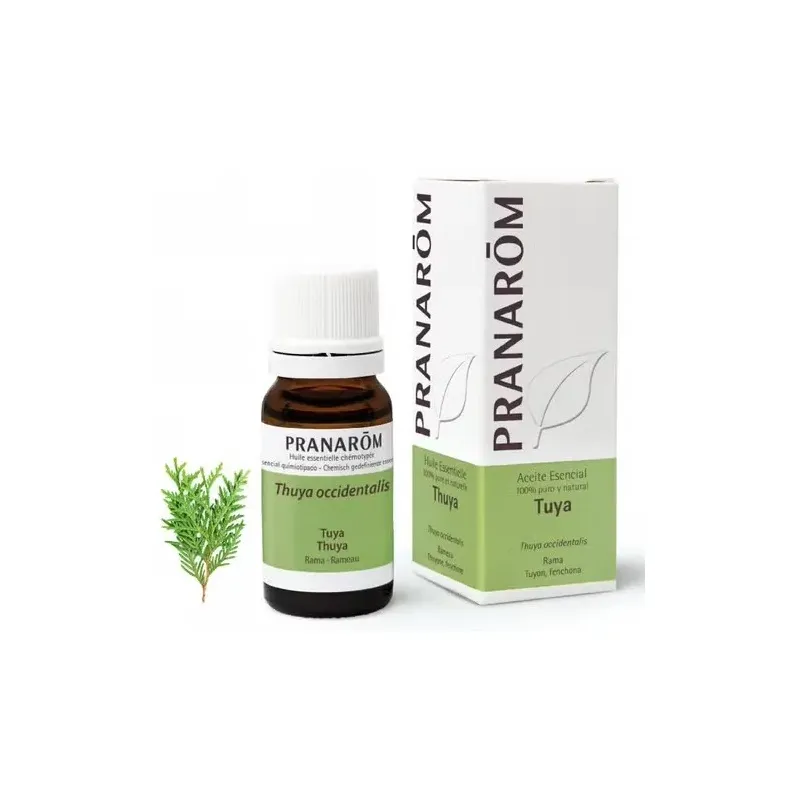 Thuya occidentalis aceite esencial 10ml. | Farmacia Barata