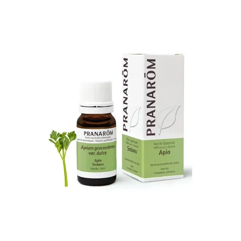 Pranarôm aceite esencial apio 10ml | Farmacia Barata Pranarôm aceite esencial apio 10ml | Farmacia Barata