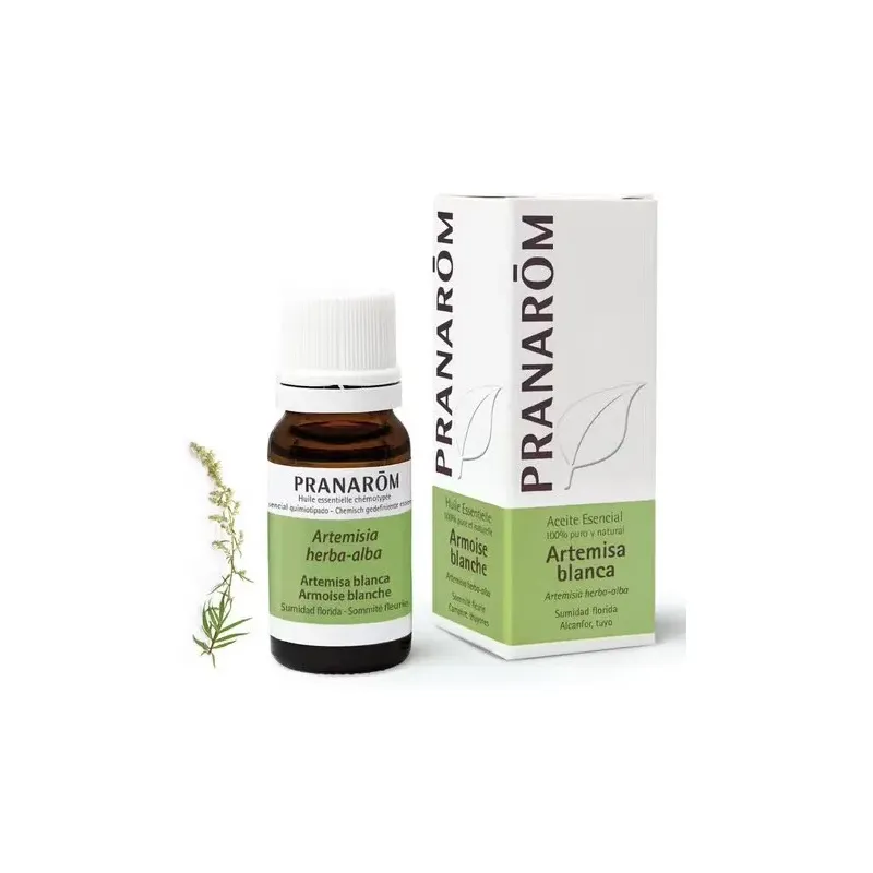 Pranarôm aceite esencial artemisa blanca 10 ml | Farmacia Barata Pranarôm aceite esencial artemisa blanca 10 ml | Farmacia Barata