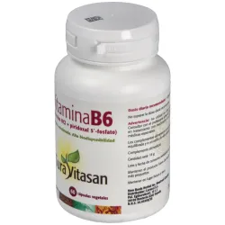 Sura vitasan vitamina b6 60caps | Farmacia Barata