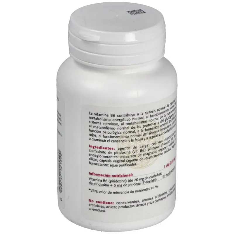 Sura vitasan vitamina b6 60caps | Farmacia Barata