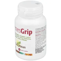 Sura vitasan frenes gip 15caps | Farmacia Barata Sura vitasan frenes gip 15caps | Farmacia Barata