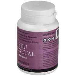 Feu vegetal digestion 90cap. | Farmacia Barata