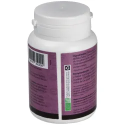 Feu vegetal digestion 90cap. | Farmacia Barata