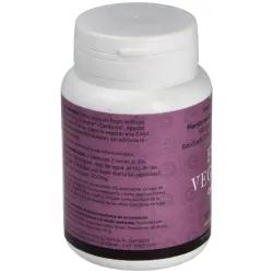 Feu vegetal digestion 90cap. | Farmacia Barata
