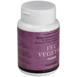 Feu vegetal digestion 90cap. | Farmacia Barata