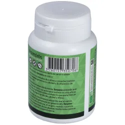 Sang vert antioxidante 90cap. | Farmacia Barata
