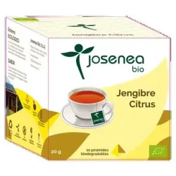 Jengibre-citrus 10piramides ensobradas bio