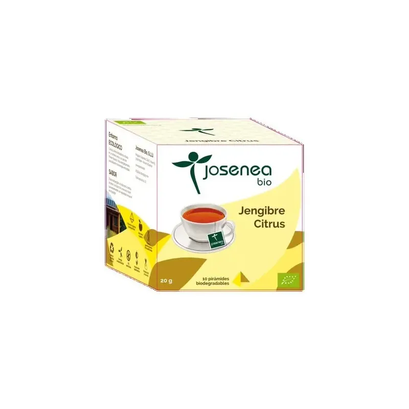 Jengibre-citrus 10piramides ensobradas bio | Farmacia Barata Jengibre-citrus 10piramides ensobradas bio | Farmacia Barata