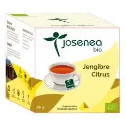 Jengibre-citrus 10piramides ensobradas bio | Farmacia Barata Jengibre-citrus 10piramides ensobradas bio | Farmacia Barata