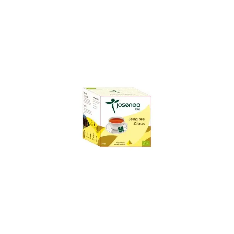 Jengibre-citrus 10piramides ensobradas bio | Farmacia Barata Jengibre-citrus 10piramides ensobradas bio | Farmacia Barata