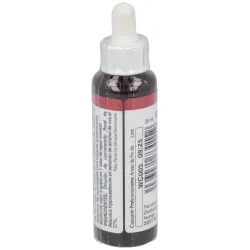 White chestnut 20ml. | Farmacia Barata