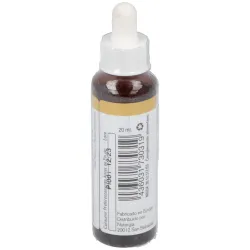 Pine 20ml. | Farmacia Barata