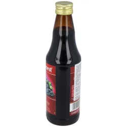 Rabenhorst zumo arándano azul silvestre 330ml | Farmacia Barata