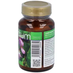 Vital2000 desmodium 60 cápsulas | Farmacia Barata
