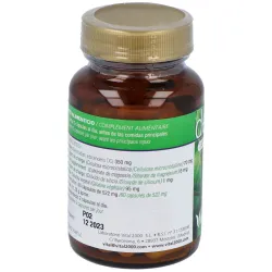 Vital2000 desmodium 60 cápsulas | Farmacia Barata