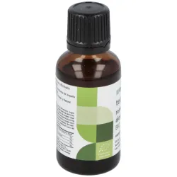 Terpenic aceite esencial romero alcanfor 30ml | Farmacia Barata
