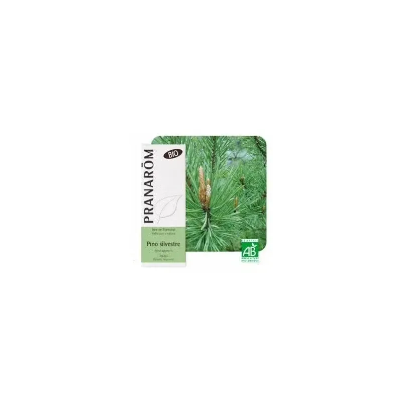 Pino silvestre aceite esencial bio 10ml. | Farmacia Barata Pino silvestre aceite esencial bio 10ml. | Farmacia Barata
