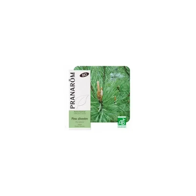 Pino silvestre aceite esencial bio 10ml. | Farmacia Barata Pino silvestre aceite esencial bio 10ml. | Farmacia Barata