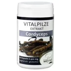 Pilze wolhrab cordyceps 60caps