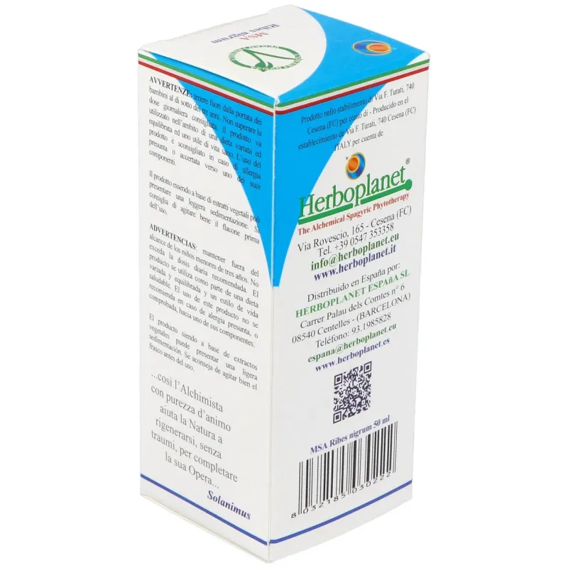 Msa ribes nigrum yemas grosellero negro 50ml. | Farmacia Barata