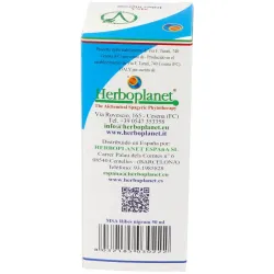 Msa ribes nigrum yemas grosellero negro 50ml. | Farmacia Barata