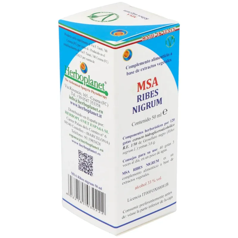 Msa ribes nigrum yemas grosellero negro 50ml. | Farmacia Barata