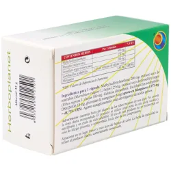 Allersol blister 60cap. | Farmacia Barata