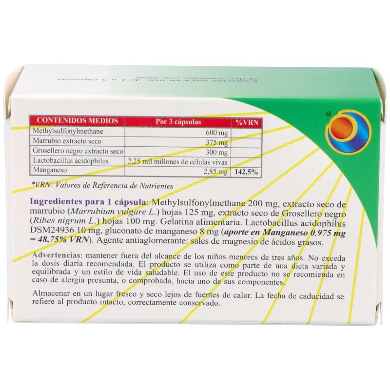 Allersol blister 60cap. | Farmacia Barata