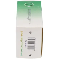 Sulfonil 60cap. | Farmacia Barata