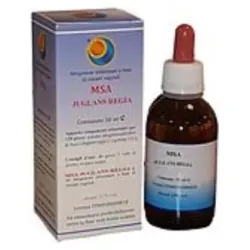 Msa juglans regia yemas nogal 50ml.