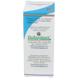 Tsa artemisa absinthium sumidades floridas 50ml. | Farmacia Barata