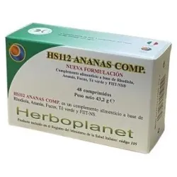 Hs 112 ananas comp. 48comp.