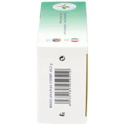 Hs 112 ananas comp. 48comp. | Farmacia Barata
