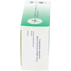 Hs 112 ananas comp. 48comp. | Farmacia Barata