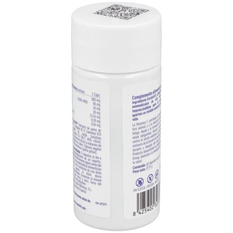 Excelvit sport recovery 60 cápsulas | Farmacia Barata Excelvit sport recovery 60 cápsulas | Farmacia Barata