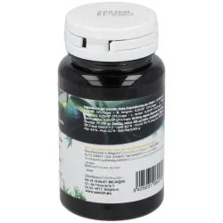 San probiotic human specific ferment senior 60g | Farmacia Barata