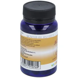 Alfa herbal aceite de chia 60 perlas | Farmacia Barata