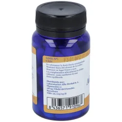 Alfa herbal vitex agnus castus 60caps | Farmacia Barata