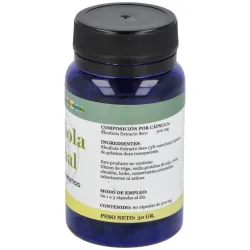 Alfa herbal rhodiola 60caps | Farmacia Barata