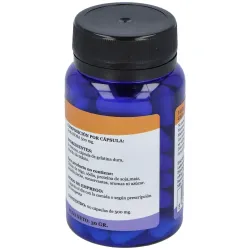 Alfa herbal creatina polvo 750g | Farmacia Barata