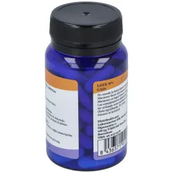 Alfa herbal creatina polvo 750g | Farmacia Barata
