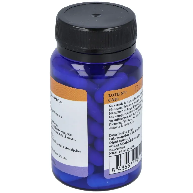 Alfa herbal creatina polvo 750g | Farmacia Barata