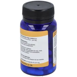 Alfa herbal raiz de loto 60 perlas | Farmacia Barata
