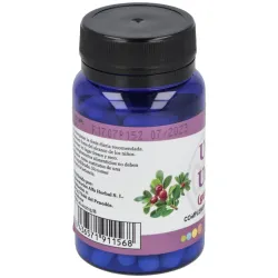 Alfa herbal uva ursi gayuba 60caps | Farmacia Barata