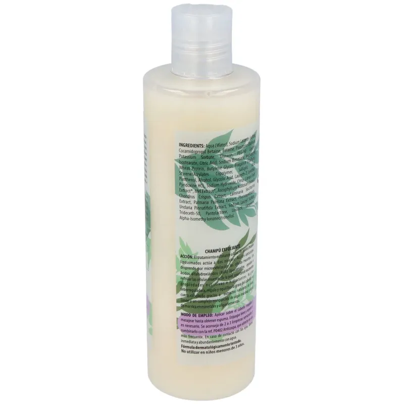 Champu exfoliante anticaspa 300ml. (ref. 641) | Farmacia Barata Champu exfoliante anticaspa 300ml. (ref. 641) | Farmacia Barata