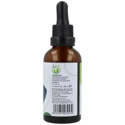 Plantis extracto boldo sin alcohol 50ml | Farmacia Barata Plantis extracto boldo sin alcohol 50ml | Farmacia Barata